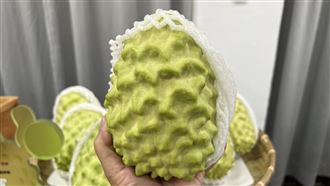 粉專驚揭鳳梨釋迦真實慘況：技術全部外流