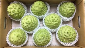 王志輝指出，台灣人一年的鳳梨釋迦（圖）食用量是1萬噸以上。（圖／翻攝自農業部食農教育資訊整合平台）