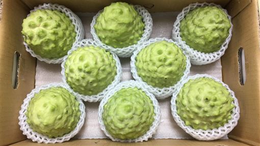 中國喊幫助台灣農漁民　陸委會：養套殺