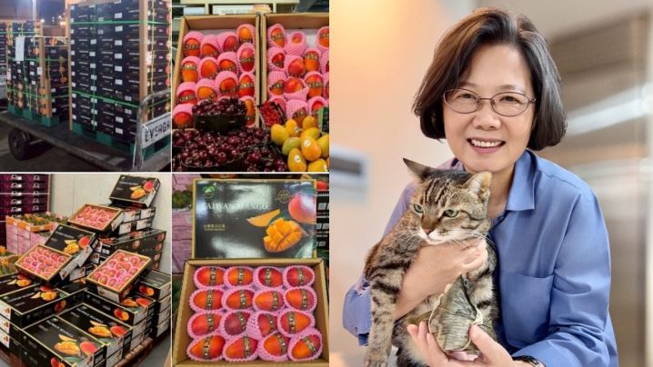 台灣愛文芒果外銷法國!蔡英文曝關鍵原因