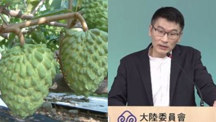 鳳梨釋迦掀論戰!梁文傑再發聲曝「初衷」