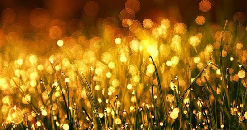 12星座最新一週運勢出爐,水瓶生活節奏變忙碌、天蠍有桃花。(示意圖/Pixabay)