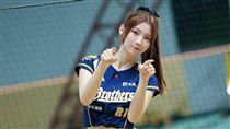 PS女孩汶汶遭狂粉砍傷　攝影棚發聲將負責