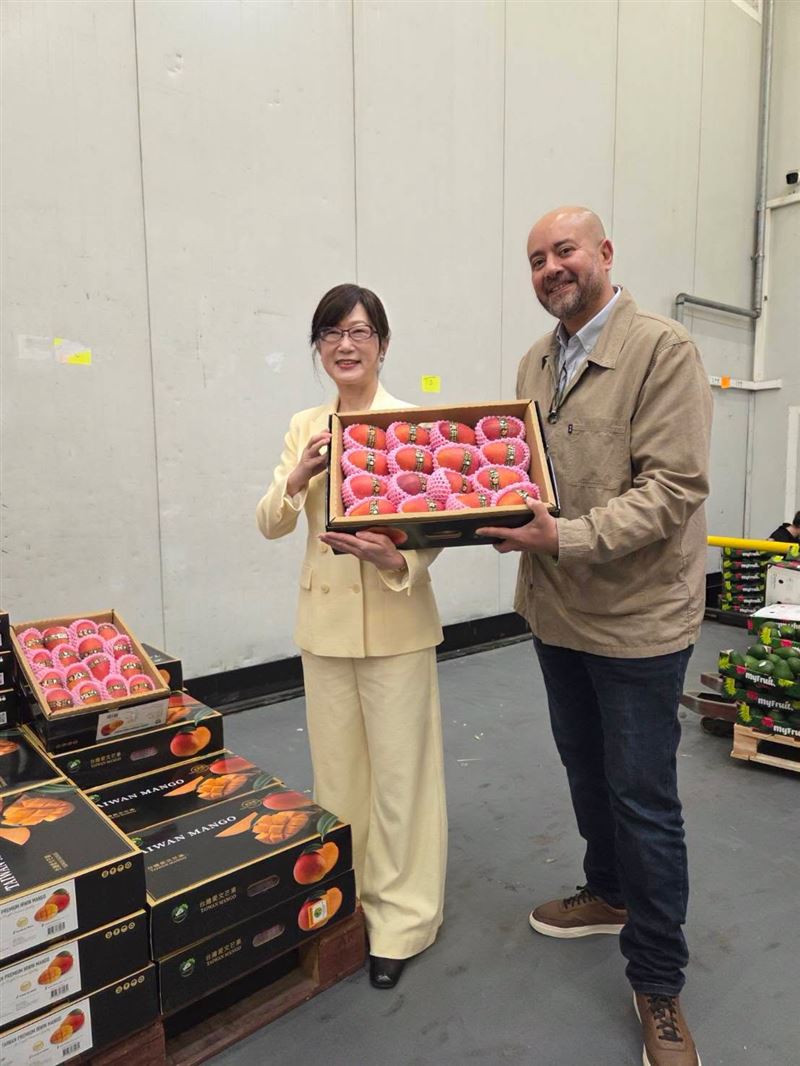 農業部表示,一顆芒果能飛越超過1萬公里抵達歐洲,不只是因為香甜可口,背後更有育種專家、防檢人員、農民、農改場及外銷業者多年努力,未來也將持續開拓穩定且長期合作的國際市場。(圖/農業部)