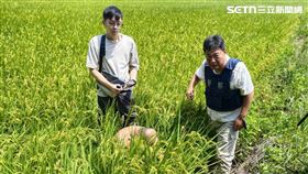 毒犯,衝撞,員警,粉碎性骨折,台中,大甲,陳芝銘,小隊長（圖／翻攝畫面）