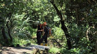 瑞芳登山客遭蜂螫傷！急送基隆長庚治療