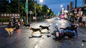 車禍,摔傷,昏迷,過失致死（示意圖／AI生成）