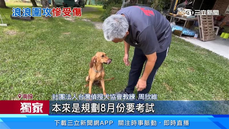 原本八月要考試的Echo，教練為了防止Echo出現心理創傷，決定讓牠休養3個月後，再評估後續服役