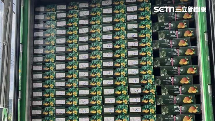 高雄六龜金煌芒果成功外銷新加坡