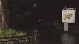 橫濱體育公園驚傳隨機砍人，上班族慢跑伸展突遭「刺腹」，引起民眾恐慌。（圖／翻攝自YouTube＠NHK NEWS）