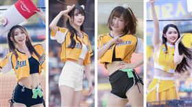 52歲許姓男粉絲割頸汶汶，被發現還曾點名另外3名PS女孩衣宸、怡琪、希希。（圖／翻攝自汶汶、衣宸、怡琪、希希IG）