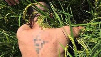 毒蟲害刑警骨折反獲5萬交保！中檢解釋了
