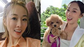 女星夏語心在社群平台上透露，許姓攝影師的離譜跟縱行徑。（圖／翻攝夏語心臉書）