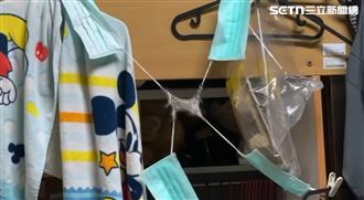 獨／男高材生「活燒、穿刺」虐殺40隻倉鼠