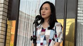 民進黨立委、台東縣長參選人陳瑩在立法院議場前受訪（圖／記者劉秀敏攝影）