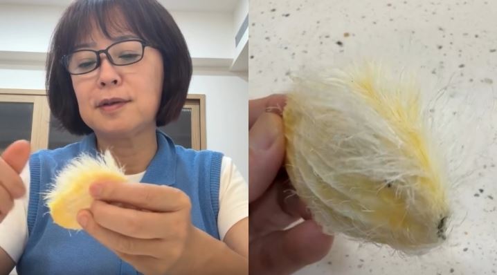 林月琴被芒狗寶寶圈粉!公開製作被喊可愛