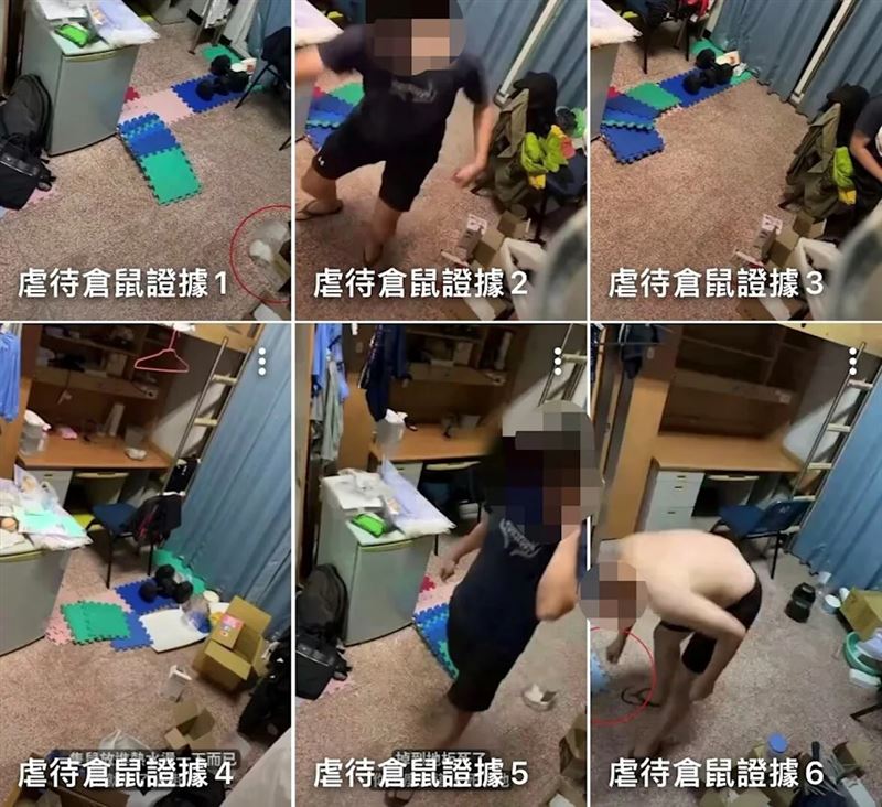 高雄陳姓男大生虐殺30至40隻倉鼠,室友爆料引起社會關注。(圖/翻攝自YT@abc321)