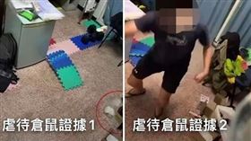 高雄陳姓男大生虐殺30至40隻倉鼠，室友爆料引起社會關注。（圖／翻攝自YT@abc321）