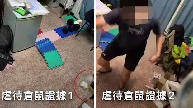 大學生涉虐殺寵物鼠 高雄動保處出手了