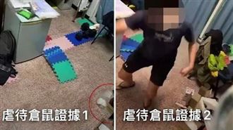 大學生涉虐殺寵物鼠　高雄動保處出手了
