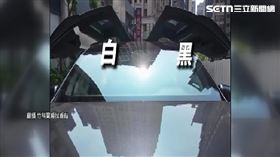獨家／400萬買到「熊貓版」Model X　車主：比中樂透難