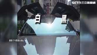 獨/全台唯一?Model X內裝黑白配 車主傻眼