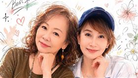 向娃（右）曬出與丁曉慧AI合照。（圖／翻攝自向娃臉書）
