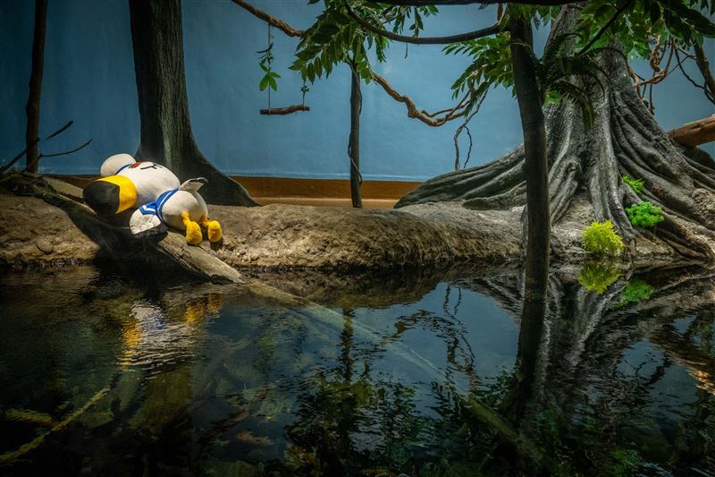西施惠、狸克、呂遊等人氣角色也將現身館內各處,陪伴大家展開探索旅程。(圖/Xpark提供)