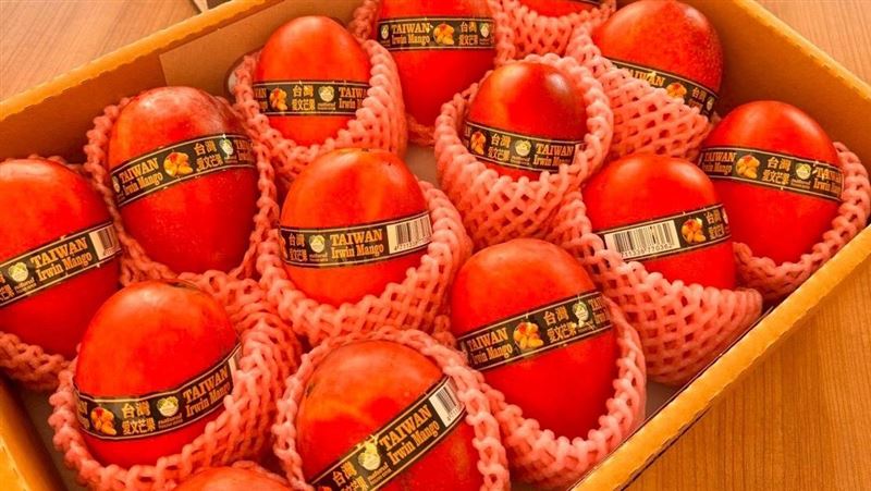 台灣芒果不只銷往法國「再叩關英國」