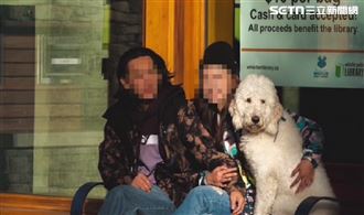 獨／金貴犬變人質？託友照顧控遭勒索10萬