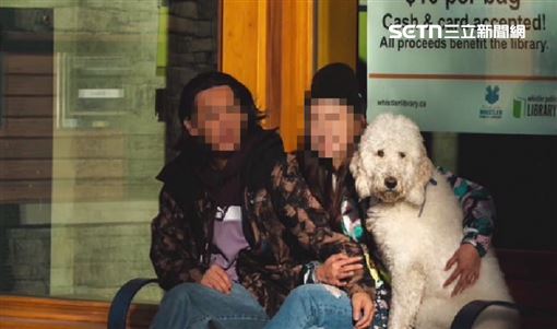 獨／金貴犬變人質？託友照顧控遭勒索10萬