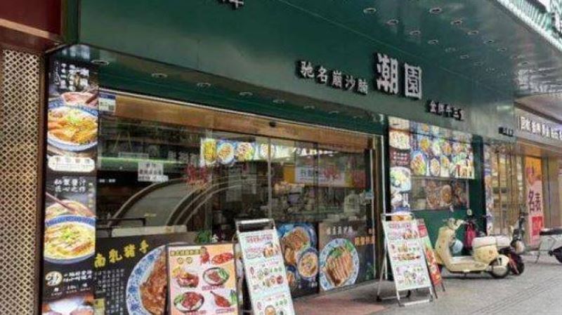 陸飯店遭爆大廳殺野貓!全網嚇壞怒抵制
