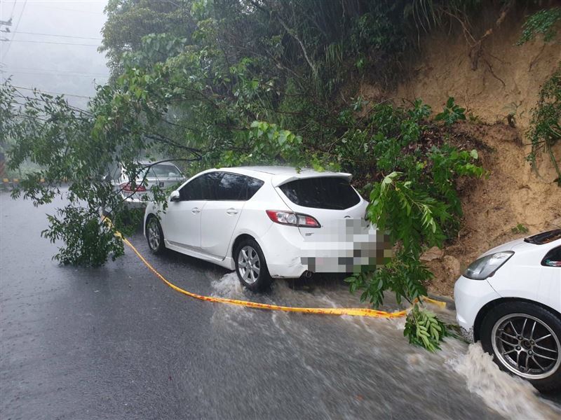 台北市內湖區內湖路三段今（25日）上午9時15分許因暴雨導致樹枝滑落，波及一輛小客車。（圖／翻攝畫面）