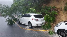 台北市內湖區內湖路三段今（25日）上午9時15分許因暴雨導致樹枝滑落，波及一輛小客車。（圖／翻攝畫面）