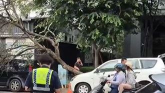 西屯區，福興路，西苑路，路樹倒塌，壓2車，暴雨，褐根病（圖／翻攝自Threads @inofinefine0719）