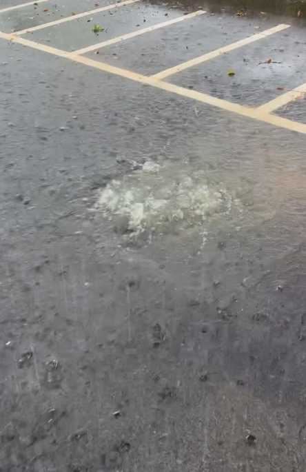 屏科大周邊多處排水孔因水壓過高，不斷向外噴出水柱。（圖／翻攝自Threads@bryan__shih__）