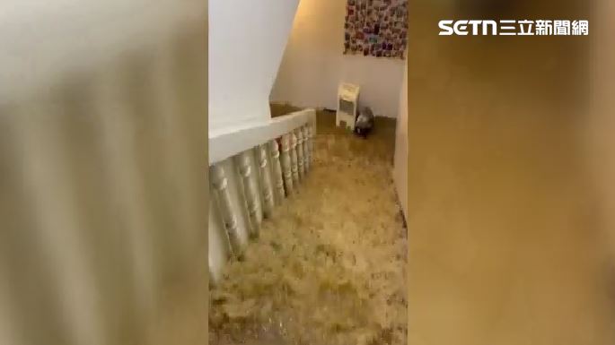 泥水如瀑布灌地下室，攝影棚損失近百萬