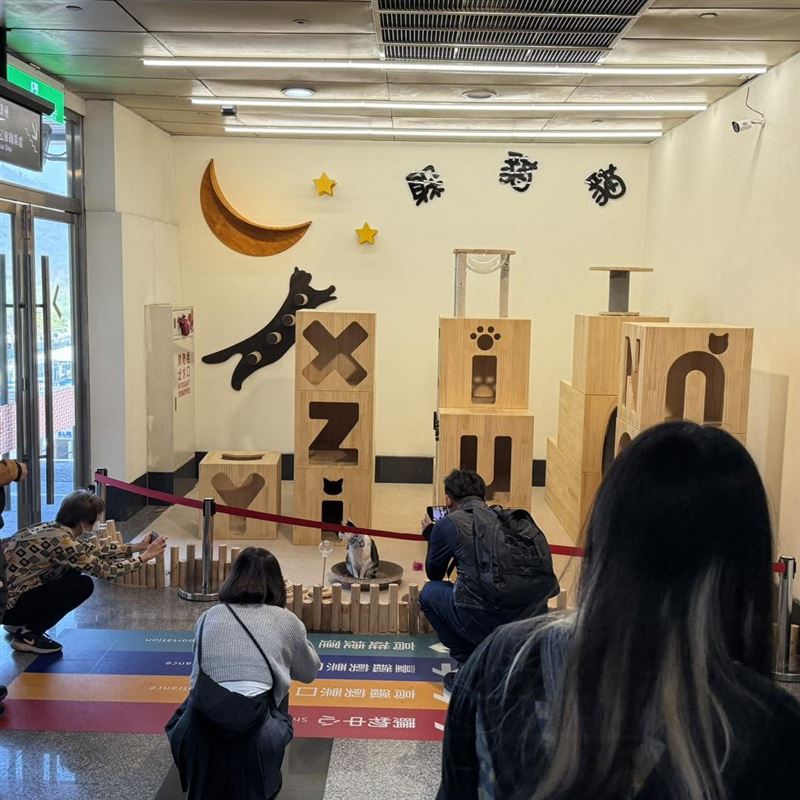 台鐵新左營站的「貓樂園」傳出要拆除，引起討論。（圖／取自臉書「左營台鐵的貓兄弟-六月與虎仔」臉書）