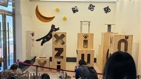 台鐵新左營站的「貓樂園」傳出要拆除，引起討論。（圖／取自臉書「左營台鐵的貓兄弟-六月與虎仔」臉書）