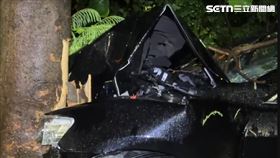 台南,路樹,颱風,環流,鋒面,事故,車禍,命危,駕駛。（圖／記者王紹宇攝影）