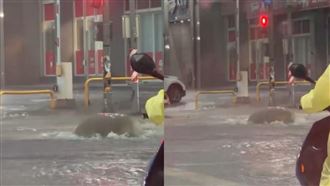 雨彈炸台淹水了！桃園水溝蓋秒變「噴泉」