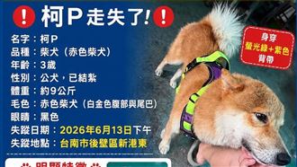 跛腳「柯P」跑走了！她懸賞急尋：快回家