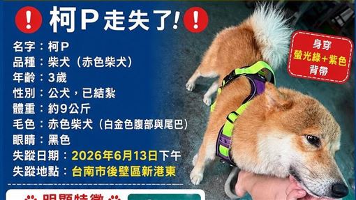 跛腳「柯P」跑走了！她懸賞急尋：快回家