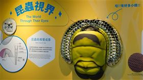 台北市立動物園日前發文表示，園內昆蟲館精心打造的特展展件遭到遊客以戲謔、搥打的方式破壞。（圖／翻攝自台北市立動物園臉書）