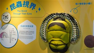 誰家小孩？台北動物園展品慘遭搥爛引眾怒