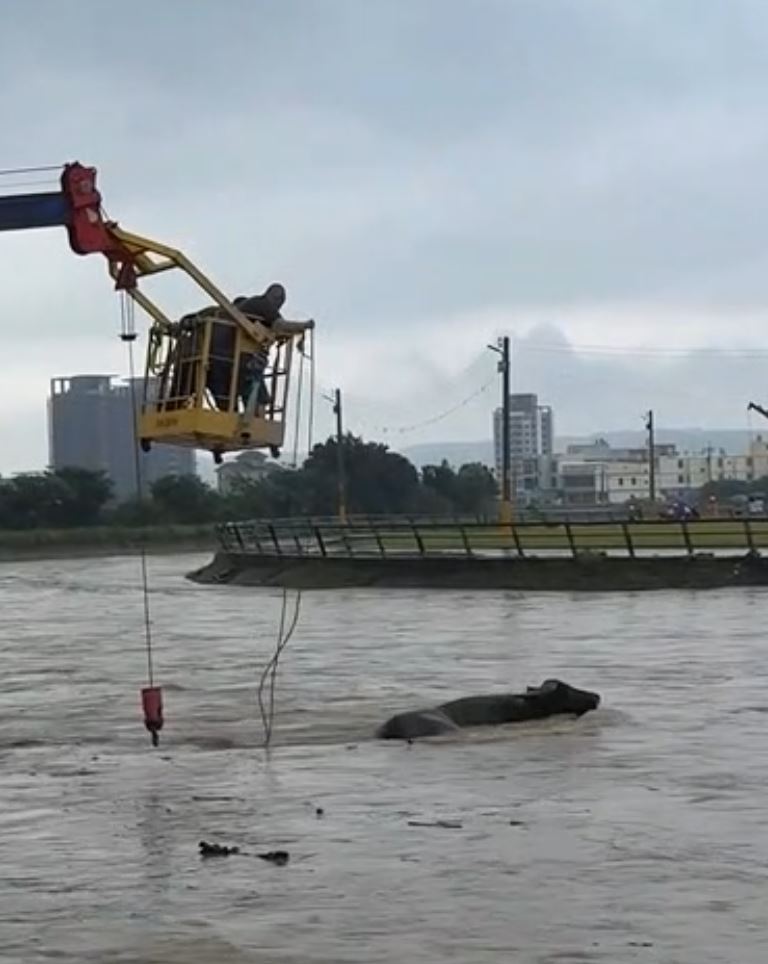 另一隻水牛不配合還落跑。（圖／翻攝自記者爆料網）