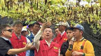 屏東農漁損逾6500萬　鳳梨泰國蝦豪雨衝擊