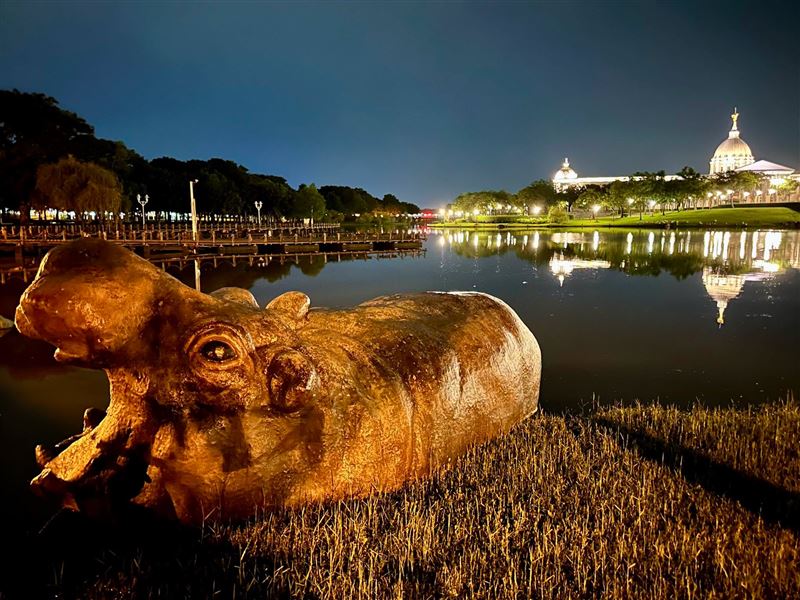 台南奇美博物館驚傳「博物館驚魂夜」！原本安置在草地上的河馬雕像，因週五豪雨導致水位暴漲，竟然順水漂移40公尺「游」進繆思湖，超萌畫面引發萬名網友熱議。（圖／翻攝自《台南式 Tainan Style》臉書）