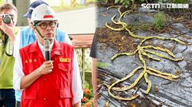 農業部,現金,災害,農民,災損,高雄,豪雨,雞隻,死亡,美濃,旗山,（圖／翻攝畫面）