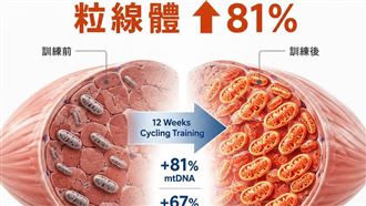 不是跑步！1運動強心肺、增活力:12週見效